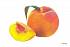Карточки для занятий в детском саду и дома «Расскажите детям о фруктах»  - миниатюра №2